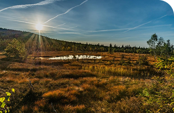 Rašeliniště na Čihadle (~11,1 km)