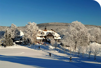 Běžecký okruh Nová Louka — Kristiánov (3–6 km dle zvolené trasy)