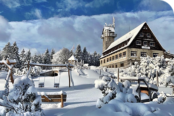 Vyhlídkový okruh Královka (~2–4 km dle trasy)